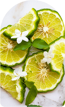 aroma_lime